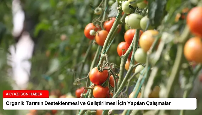 Organik Tarımın Desteklenmesi ve Geliştirilmesi İçin Yapılan Çalışmalar