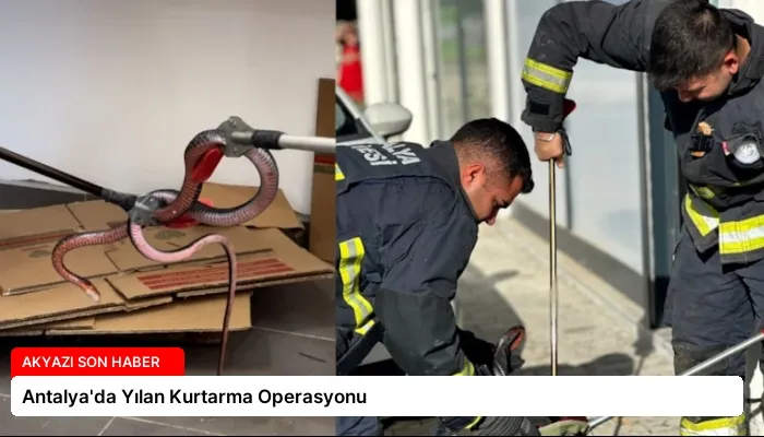 Antalya’da Yılan Kurtarma Operasyonu