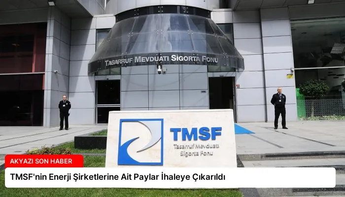 TMSF’nin Enerji Şirketlerine Ait Paylar İhaleye Çıkarıldı