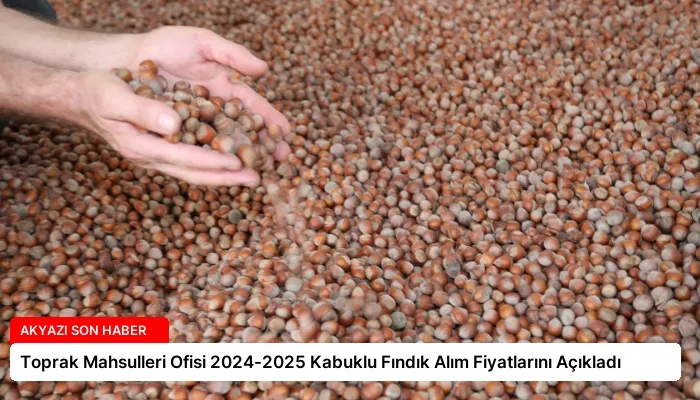 Toprak Mahsulleri Ofisi 2024-2025 Kabuklu Fındık Alım Fiyatlarını Açıkladı