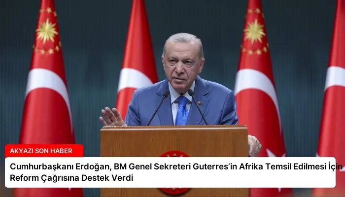 Cumhurbaşkanı Erdoğan, BM Genel Sekreteri Guterres’in Afrika Temsil Edilmesi İçin Reform Çağrısına Destek Verdi