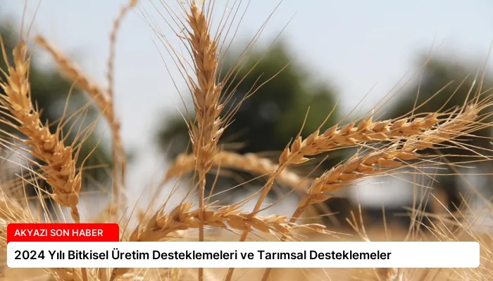 2024 Yılı Bitkisel Üretim Desteklemeleri ve Tarımsal Desteklemeler