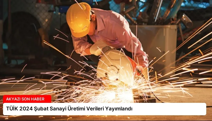 TÜİK 2024 Şubat Sanayi Üretimi Verileri Yayımlandı