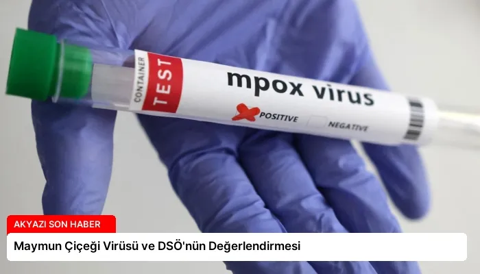 Maymun Çiçeği Virüsü ve DSÖ’nün Değerlendirmesi