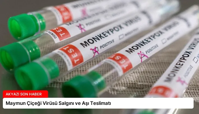 Maymun Çiçeği Virüsü Salgını ve Aşı Teslimatı