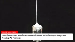 Tufts Üniversitesi Bilim İnsanlarından Örümcek Adam İlhamıyla Geliştirilen Yenilikçi Ağ Fırlatıcısı