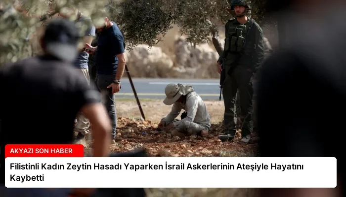 Filistinli Kadın Zeytin Hasadı Yaparken İsrail Askerlerinin Ateşiyle Hayatını Kaybetti