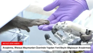 Araştırma, Rhesus Maymunları Üzerinde Yapılan Yeni Beyin-Bilgisayar Araştırması