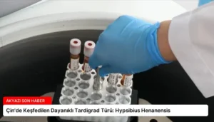 Çin’de Keşfedilen Dayanıklı Tardigrad Türü: Hypsibius Henanensis