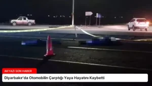Diyarbakır’da Otomobilin Çarptığı Yaya Hayatını Kaybetti
