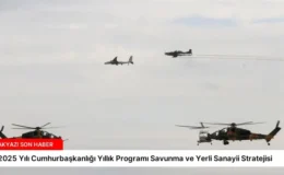 2025 Yılı Cumhurbaşkanlığı Yıllık Programı Savunma ve Yerli Sanayii Stratejisi