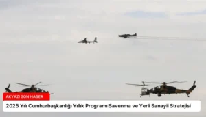 2025 Yılı Cumhurbaşkanlığı Yıllık Programı Savunma ve Yerli Sanayii Stratejisi