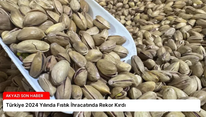 Türkiye 2024 Yılında Fıstık İhracatında Rekor Kırdı