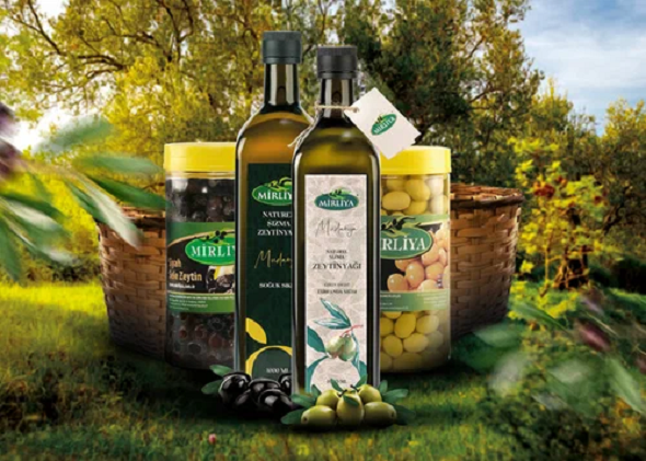Mirliya, Avrupa Pazarı İçin Yeni Zeytin Çeşidi Geliştirdi