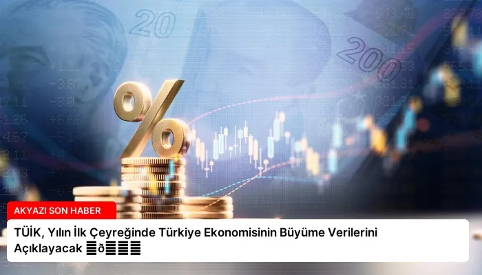 TÜİK, Yılın İlk Çeyreğinde Türkiye Ekonomisinin Büyüme Verilerini Açıklayacak ⏬👇