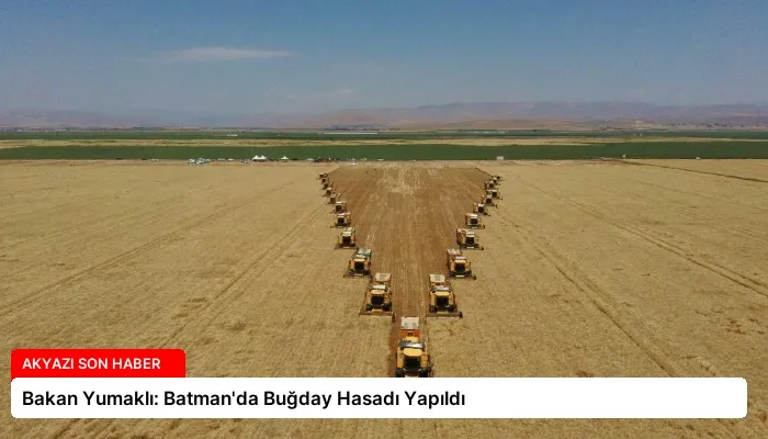 Bakan Yumaklı: Batman’da Buğday Hasadı Yapıldı