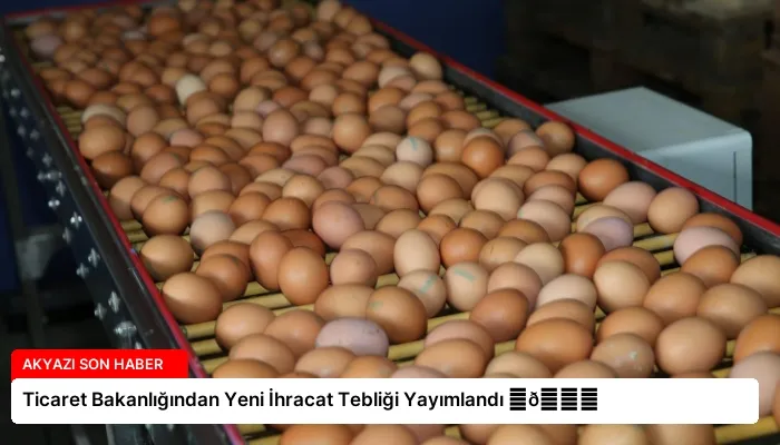 Ticaret Bakanlığından Yeni İhracat Tebliği Yayımlandı ⏬👇