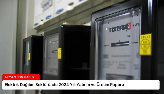 Elektrik Dağıtım Sektöründe 2024 Yılı Yatırım ve Üretim Raporu