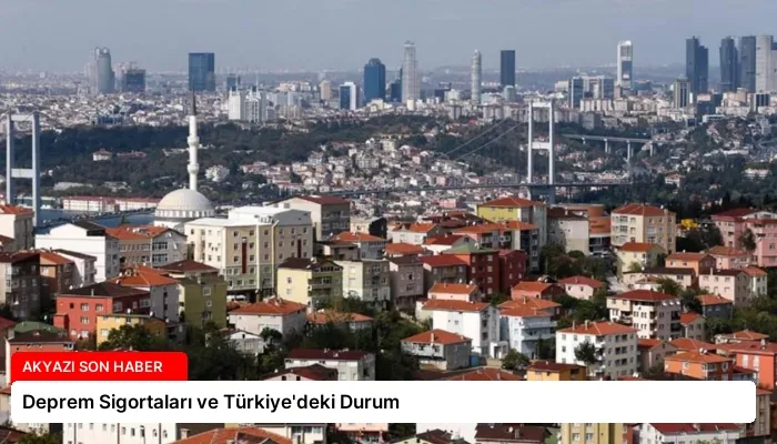 Deprem Sigortaları ve Türkiye’deki Durum
