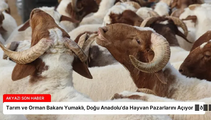Tarım ve Orman Bakanı Yumaklı, Doğu Anadolu’da Hayvan Pazarlarını Açıyor ⏬👇