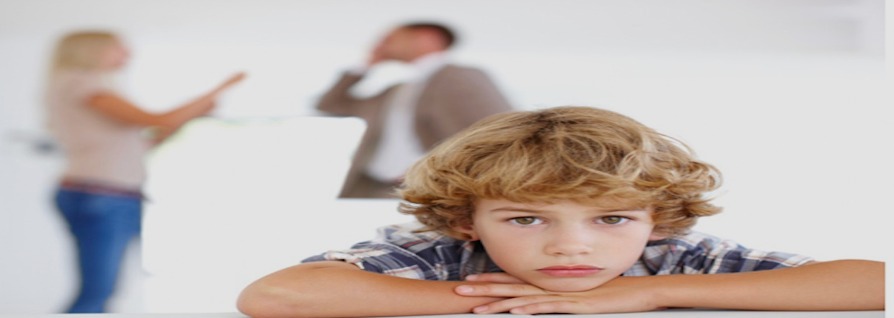 ORTAK VELAYETİN UYGULAMADAKİ SORUNLARI NELERDİR?