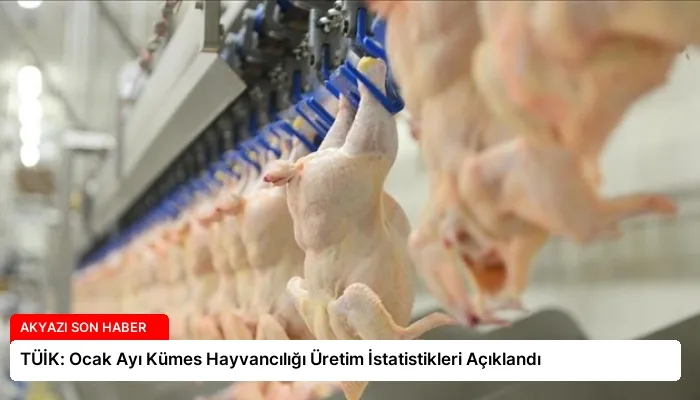 TÜİK: Ocak Ayı Kümes Hayvancılığı Üretim İstatistikleri Açıklandı