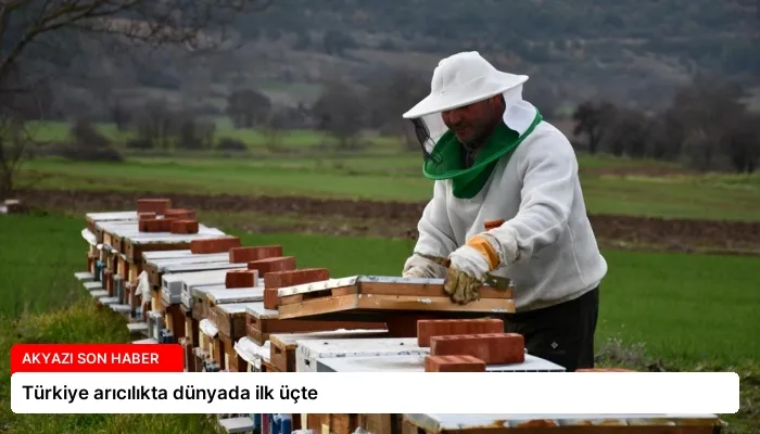 Türkiye arıcılıkta dünyada ilk üçte