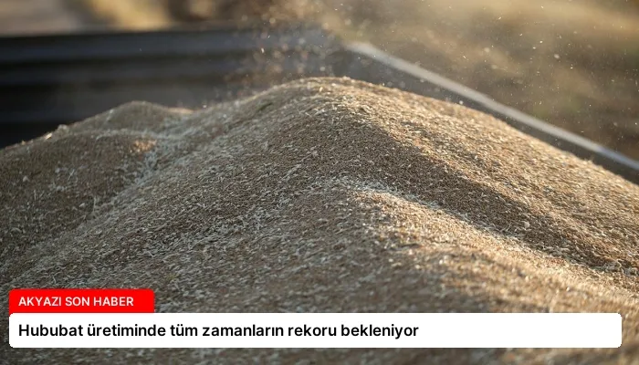 Hububat üretiminde tüm zamanların rekoru bekleniyor