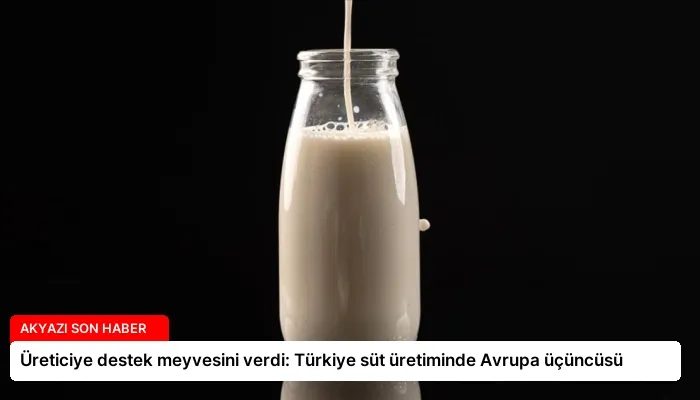 Üreticiye destek meyvesini verdi: Türkiye süt üretiminde Avrupa üçüncüsü