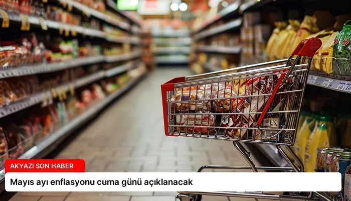 Mayıs ayı enflasyonu cuma günü açıklanacak
