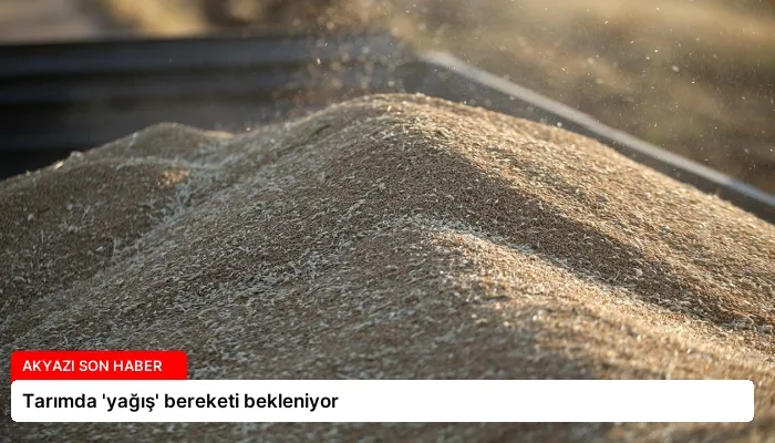 Tarımda ‘yağış’ bereketi bekleniyor