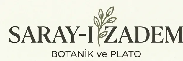 DIŞ MEKANLARDA YENİ BİR SOLUK: DIŞ MEKAN BİTKİLERİ