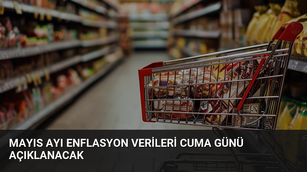 Mayıs Ayı Enflasyon Verileri Cuma Günü Açıklanacak