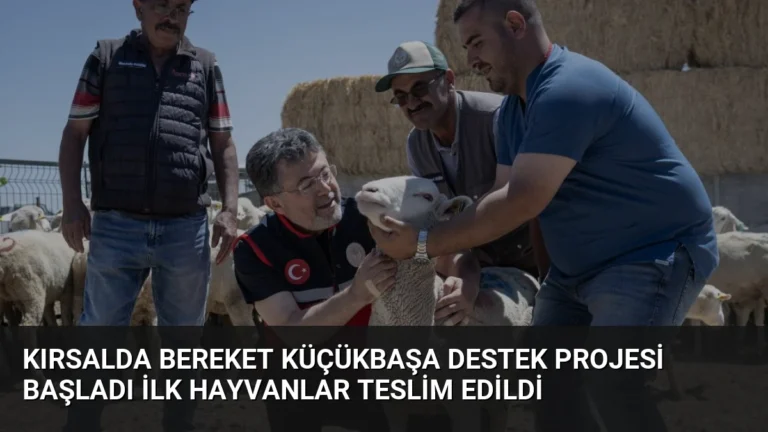 Kırsalda Bereket Küçükbaşa Destek Projesi Başladı İlk Hayvanlar Teslim Edildi