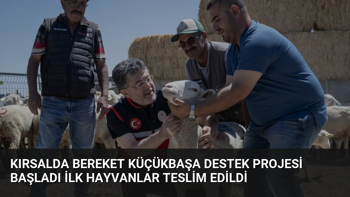 Kırsalda Bereket Küçükbaşa Destek Projesi Başladı İlk Hayvanlar Teslim Edildi