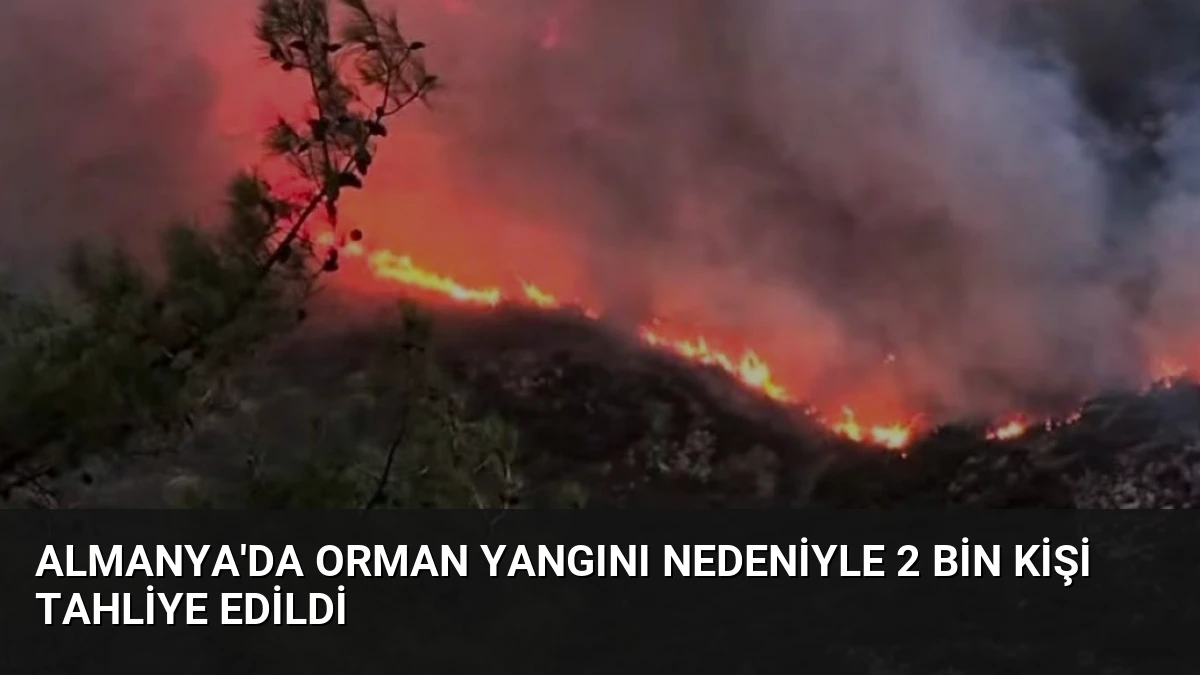 Almanya’da Orman Yangını Nedeniyle 2 Bin Kişi Tahliye Edildi