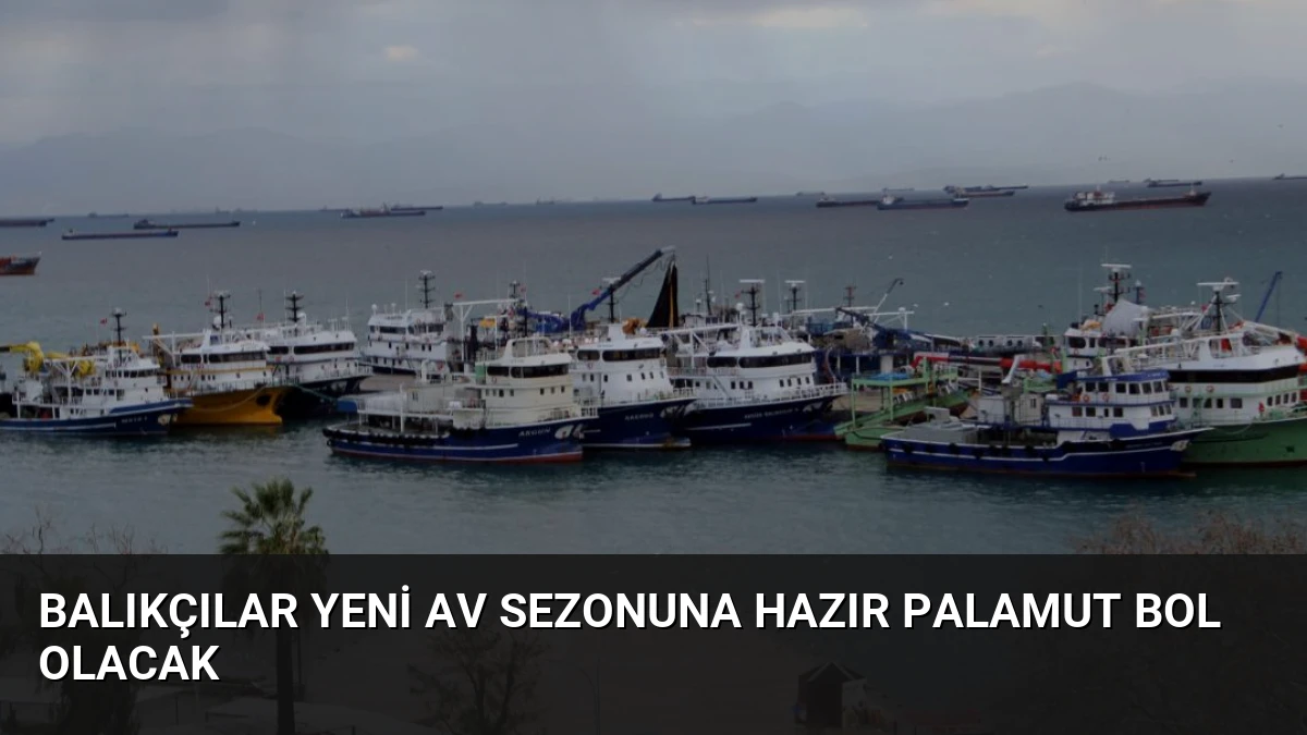 Balıkçılar Yeni Av Sezonuna Hazır Palamut Bol Olacak
