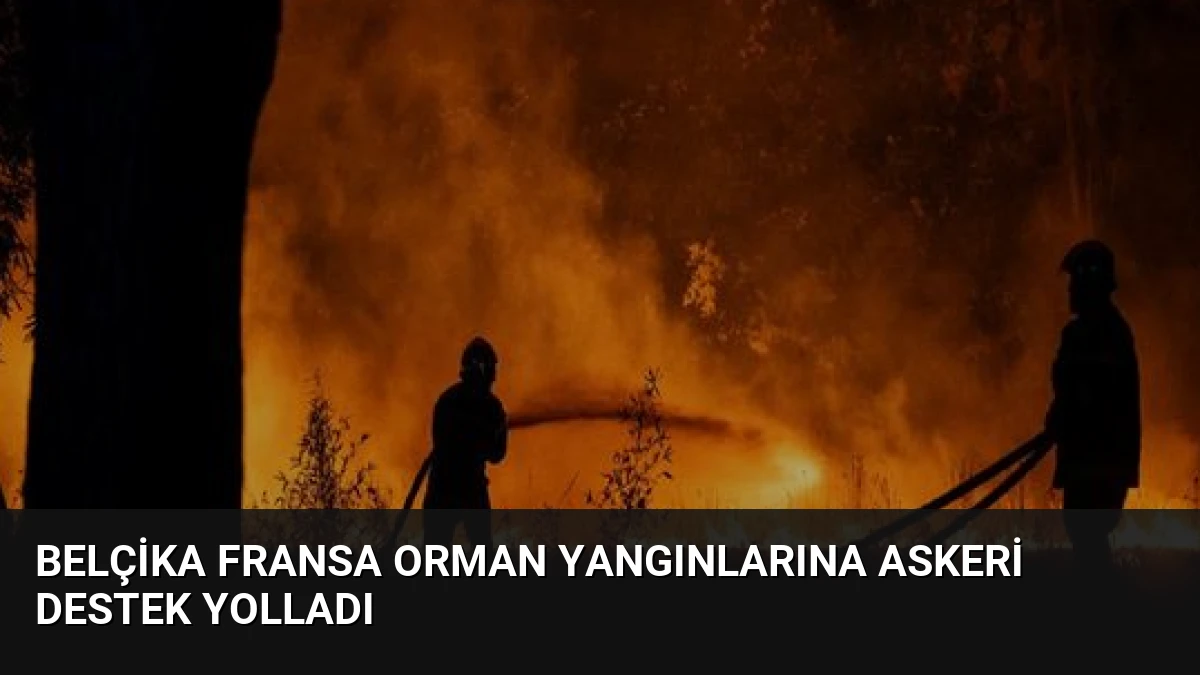 Belçika Fransa Orman Yangınlarına Askeri Destek Yolladı
