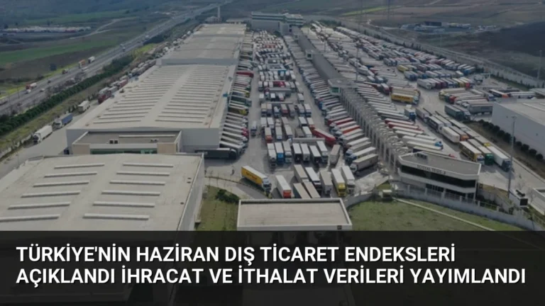 Türkiye’nin Haziran Dış Ticaret Endeksleri Açıklandı İhracat ve İthalat Verileri Yayımlandı