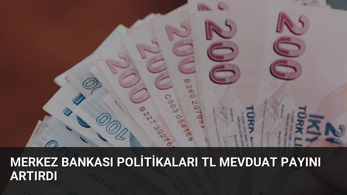 Merkez Bankası Politikaları TL Mevduat Payını Artırdı