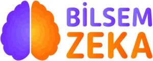 BİLSEM Link Aramaları Artıyor: Doğru Hazırlık Kaynağına Ulaşmanın Önemi