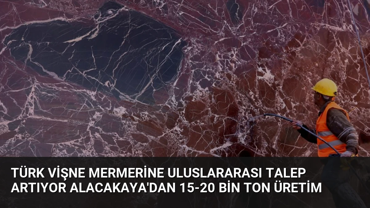 Türk Vişne Mermerine Uluslararası Talep Artıyor Alacakaya’dan 15-20 Bin Ton Üretim
