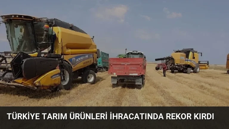 Türkiye Tarım Ürünleri İhracatında Rekor Kırdı